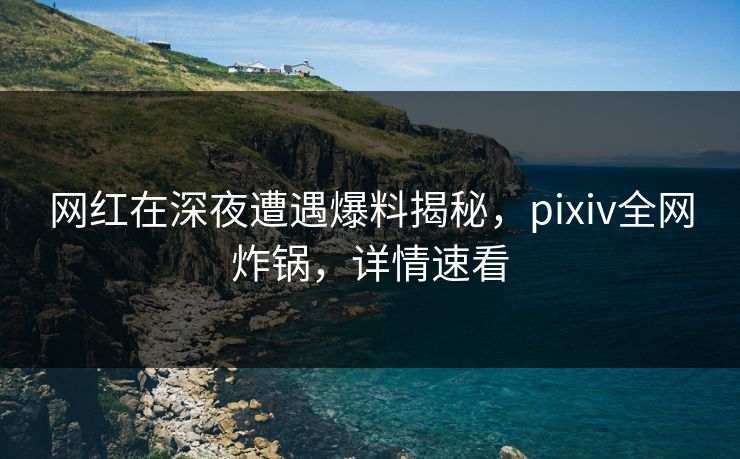 网红在深夜遭遇爆料揭秘，pixiv全网炸锅，详情速看