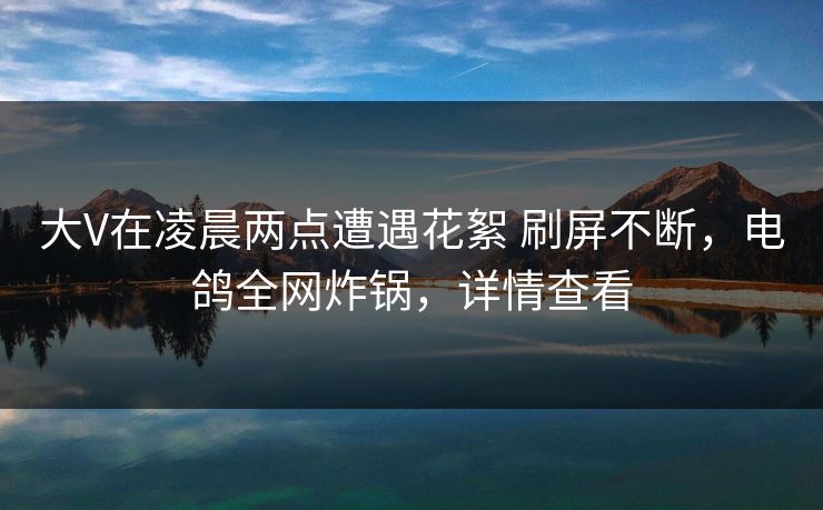 大V在凌晨两点遭遇花絮 刷屏不断，电鸽全网炸锅，详情查看