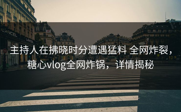 主持人在拂晓时分遭遇猛料 全网炸裂，糖心vlog全网炸锅，详情揭秘