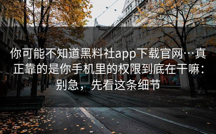 你可能不知道黑料社app下载官网…真正靠的是你手机里的权限到底在干嘛：别急，先看这条细节